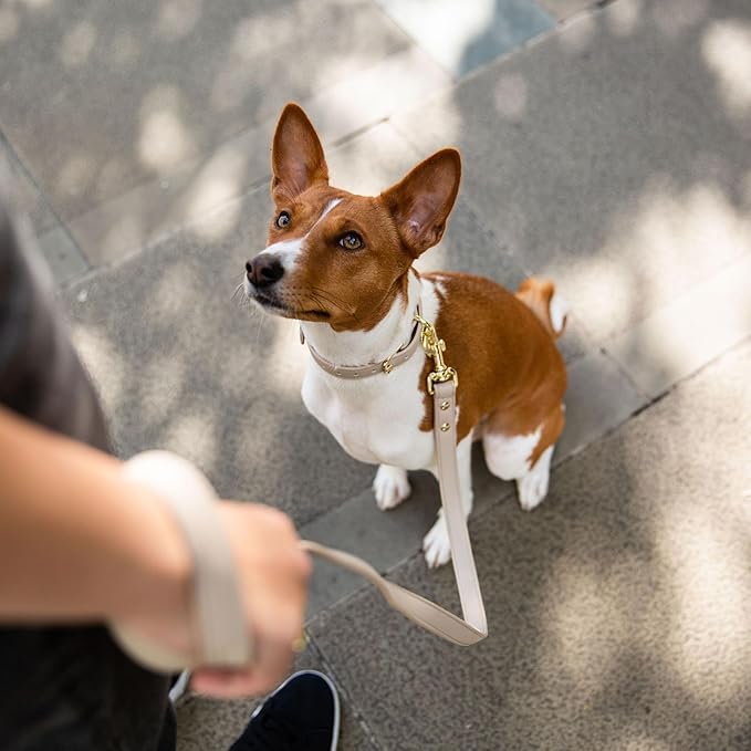 Leather Dog Leash - Cupertino - Beige Slim Leash with Reinforced Hardware, European Design Soft Dog Collars, Harnesses & Leashes, 4ft - For Health For Ethics -