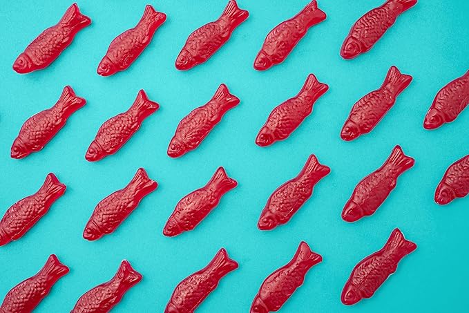 Surf Sweets Organic DelishFish Candy - Sweet Vegan Candy Fish, Gluten Free Snack for Kids and Adults, Kosher, Raspberry Fruit Flavor, Sweetened with Organic Cane Sugar - 2.75 oz Bag (Pack of 12) - For Health For Ethics -