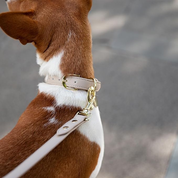 Leather Dog Leash - Cupertino - Beige Slim Leash with Reinforced Hardware, European Design Soft Dog Collars, Harnesses & Leashes, 4ft - For Health For Ethics - 