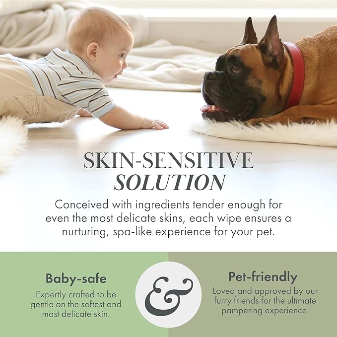 Premium Biodegradable Pet Wipes for Dogs & Cats – Non - Scented, Non - Alcoholic with Aloe Vera – Hypoallergenic Grooming for Paws, Face, Body & Butt (100 Count) - For Health For Ethics - 