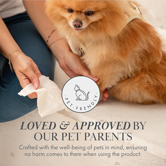 Premium Biodegradable Pet Wipes for Dogs & Cats – Non - Scented, Non - Alcoholic with Aloe Vera – Hypoallergenic Grooming for Paws, Face, Body & Butt (100 Count) - For Health For Ethics - 