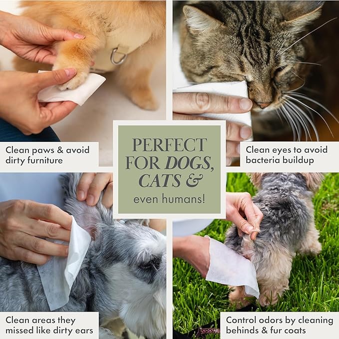 Premium Biodegradable Pet Wipes for Dogs & Cats – Non - Scented, Non - Alcoholic with Aloe Vera – Hypoallergenic Grooming for Paws, Face, Body & Butt (100 Count) - For Health For Ethics - 