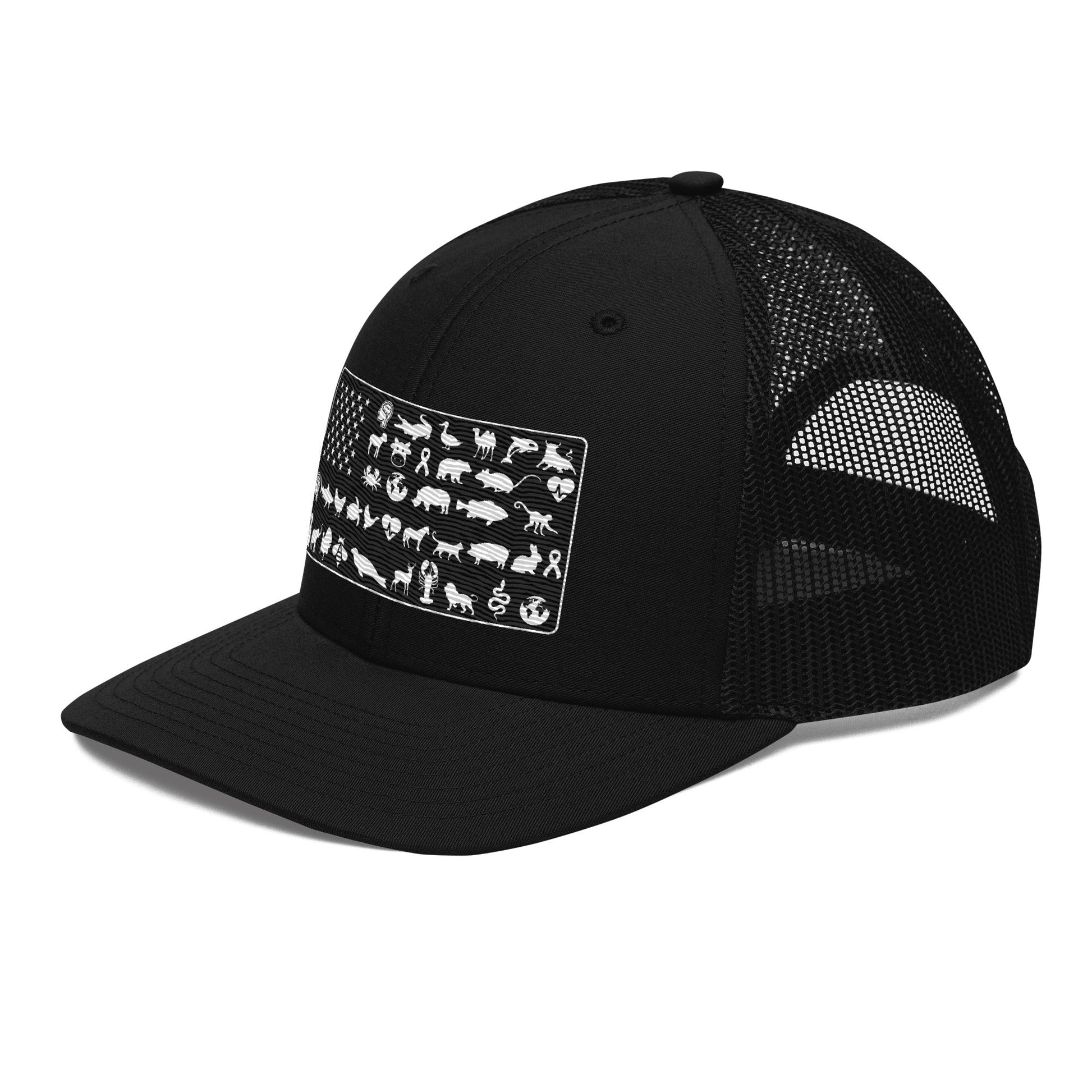 American Flag Hat - For Health For Ethics - Black - Side Left