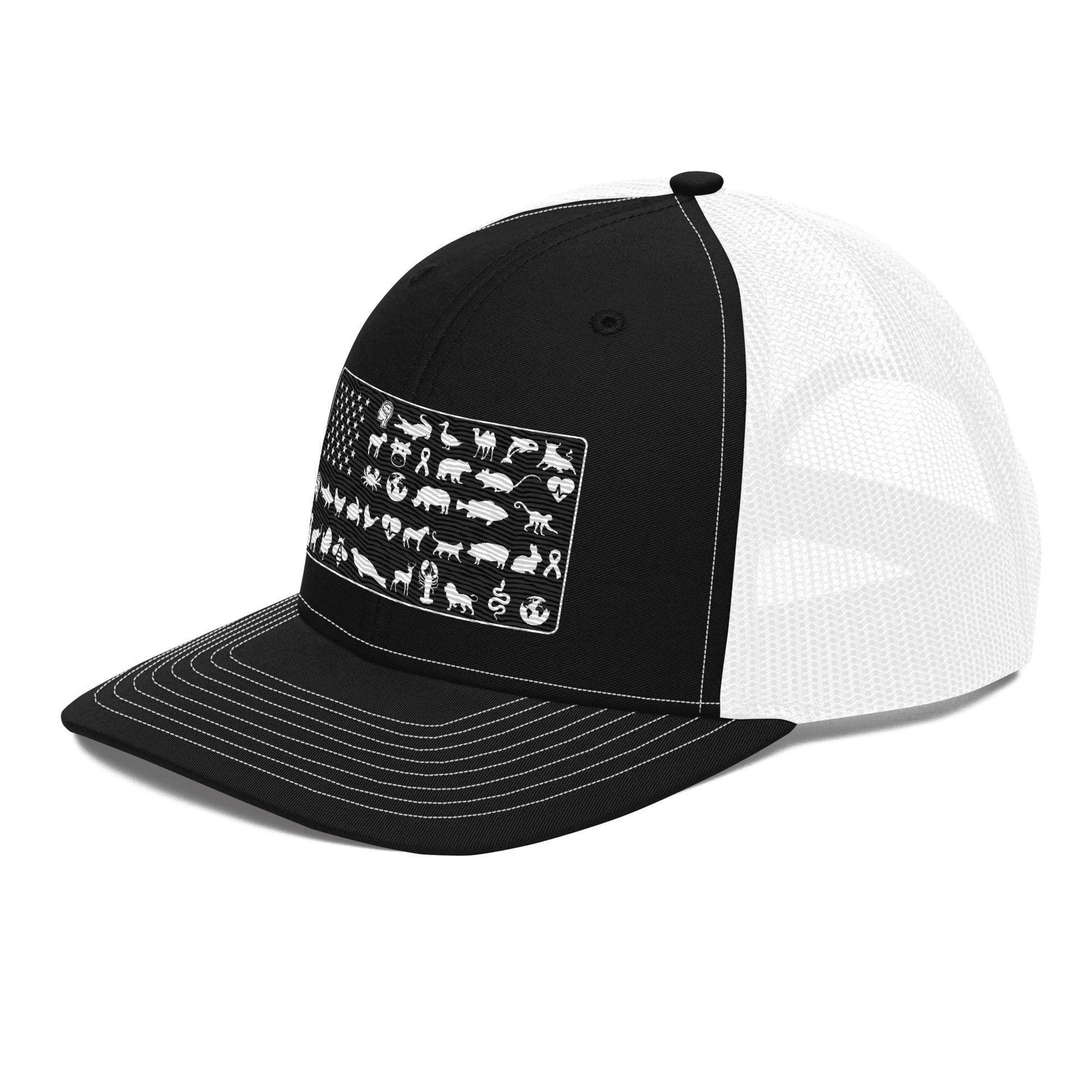 American Flag Hat - For Health For Ethics - Black - Side Left
