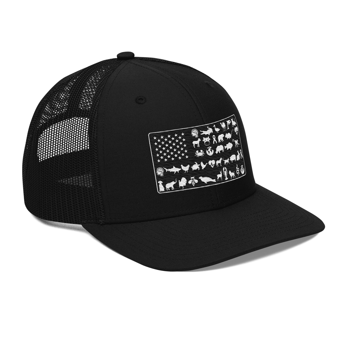American Flag Hat - For Health For Ethics - Black - Side Right